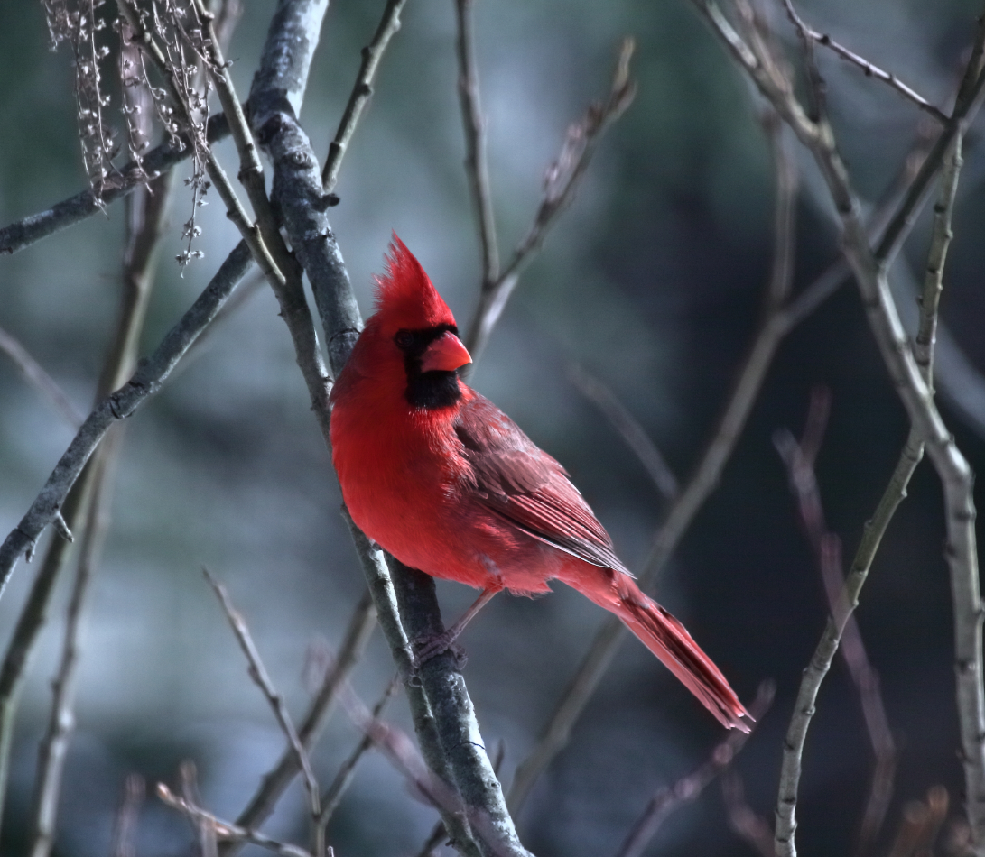 2015 01 29 HTP 000022052e